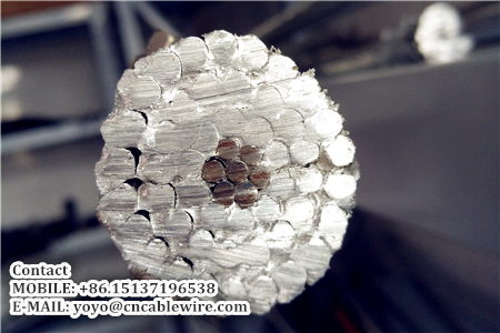 Steel Core Aluminum Stranded Wire