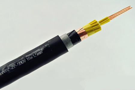 Plastic Insulated Control Cable